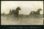 Hartford Peter wins 3rd race by Guy Kendall