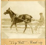 Top Hat - Reed up by Guy Kendall