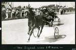 Mr Signal wins 1st race by Guy Kendall
