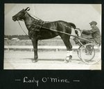 Lady O'Mine by Guy Kendall