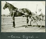 Emma Signal by Guy Kendall