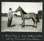 Bay Filly 1, dam Betty Curtis and by Calumet Climatic