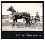 Sylvia Hanover by Guy Kendall