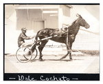 Dale Cochato by Guy Kendall