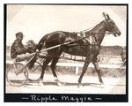 Ripple Maggie by Guy Kendall