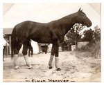 Elmer Hanover by Guy Kendall