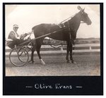 Olive Evans