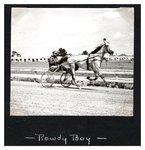 Rowdy Boy by Guy Kendall