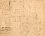 Plan of Townships. Nos. 21 & 27 E.D. East Half No. 43 M.D. No. 6 & N. Half No. 5 with the Two Mile Strips North, N.D. Situated in the County of Washington, State of Maine