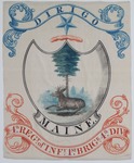 Maine Militia Flag: 4th Regiment of Infantry, 1st Brigade, 4th Division