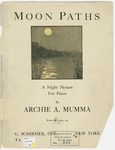 Moon Paths by Archie A Mumma