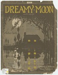 Dreamy Moon : Waltz Lullaby