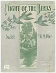Flight of the Birds: Ballet