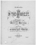 In The Forest by J. Haydn Waud