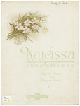 Narcissa : Intermezzo