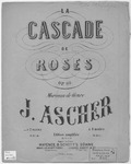 La Cascade De Roses by Joseph Ascher