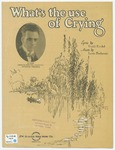 What's the Use of Crying? by Louis Forbstein and Verdi Kindel