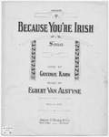 Because You're Irish : Song