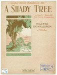 A Shady Tree : Waltz Ballad