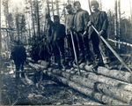 Five men standing on yarded logs