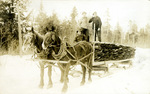 Small load of Hemlock Bark on a two-sled