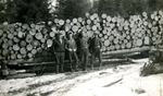 Two-sled loaded with pulpwood