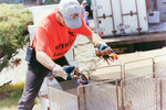 Maine Lobster Festival Volunteer Prepping Lobsters to Cook