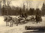 Logging Crew, 1903