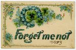 Forget Me Not Postcard