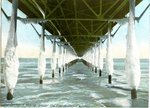 Old Orchard, Under the Pier in January Postcard