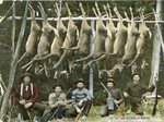 All the Law Allows in Maine (Hunting Scene)