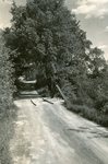 Exeter Mills, Maine, Bridge on Shadowy Road by Franklin Eaton