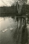 Belfast, Maine, Goose River by Franklin Eaton