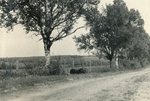 Hermon, Maine, Along Black Stream Road by Franklin Eaton
