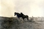 Spring Plowing by Franklin Eaton