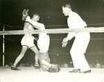 Two Boxers in Ring