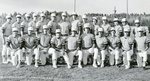 Baseball 1976